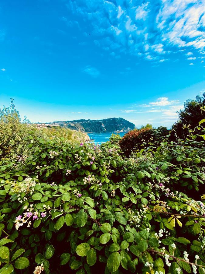 La Fortezza Forio di Ischia Exterior foto